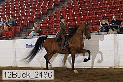 12buck_2486 proof