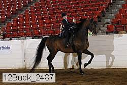 12buck_2487 proof