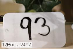 12buck_2492 proof