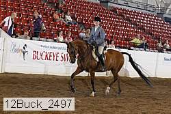 12buck_2497 proof