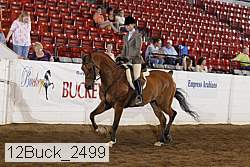 12buck_2499 proof
