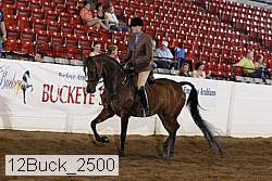 12buck_2500 proof
