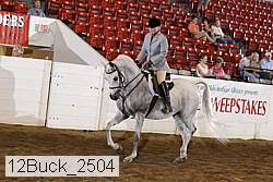 12buck_2504 proof