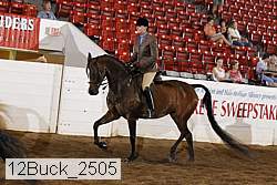 12buck_2505 proof