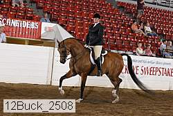 12buck_2508 proof