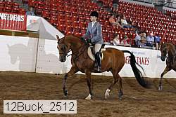 12buck_2512 proof