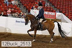 12buck_2513 proof