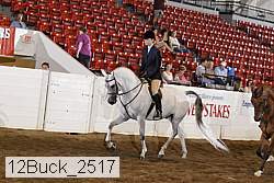 12buck_2517 proof