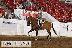 12buck_2526 proof