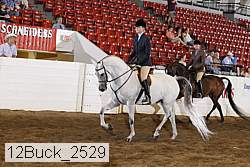 12buck_2529 proof