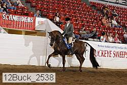 12buck_2538 proof