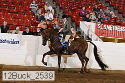12buck_2539 proof