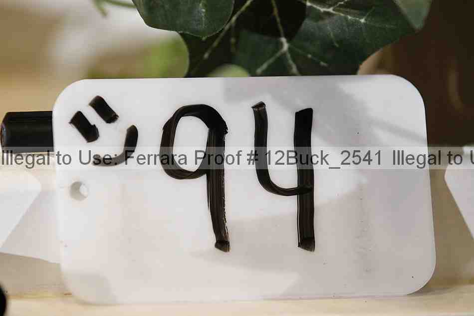 Proof 12buck_2541
