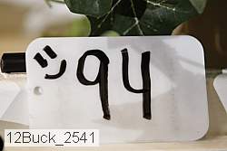12buck_2541 proof
