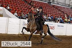 12buck_2544 proof