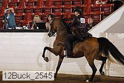 12buck_2545 proof