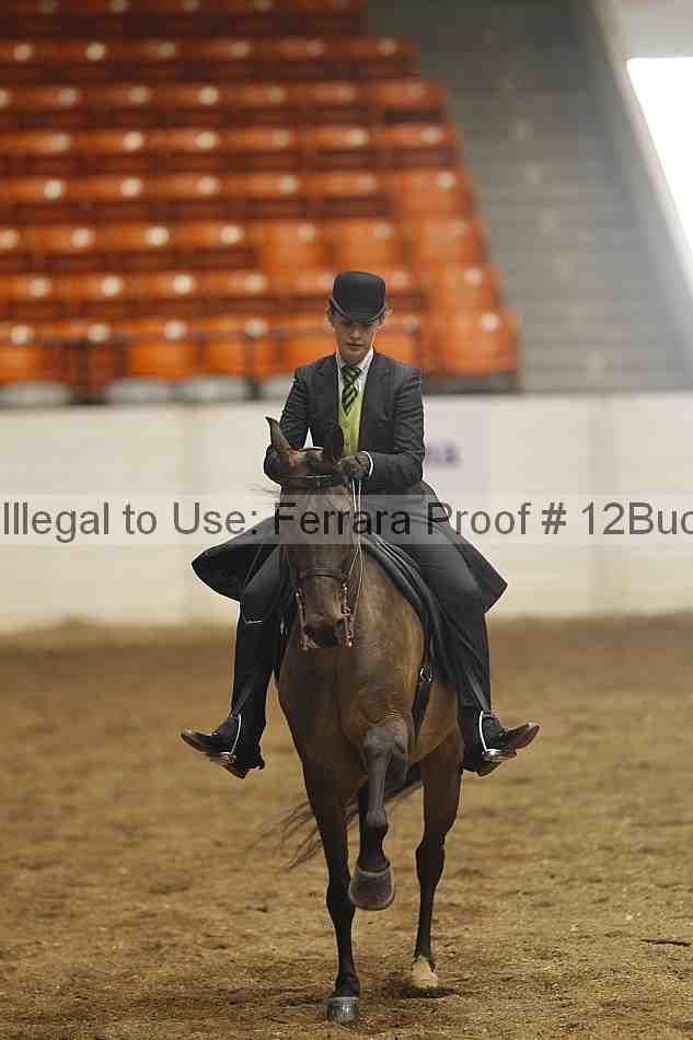 Proof 12buck_2546