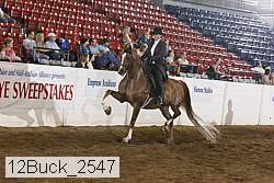 12buck_2547 proof