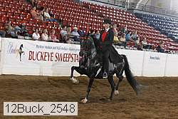 12buck_2548 proof