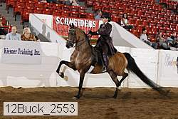 12buck_2553 proof