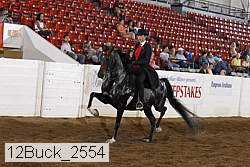 12buck_2554 proof