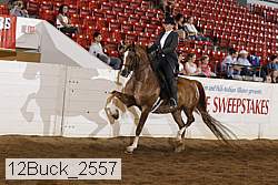 12buck_2557 proof