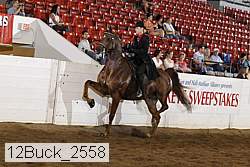 12buck_2558 proof