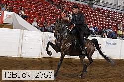12buck_2559 proof