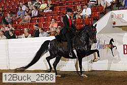 12buck_2568 proof