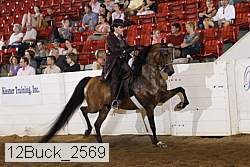 12buck_2569 proof