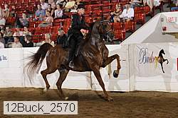 12buck_2570 proof