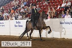 12buck_2571 proof