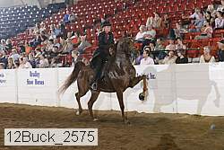 12buck_2575 proof