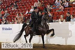 12buck_2576 proof