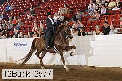 12buck_2577 proof