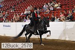 12buck_2578 proof