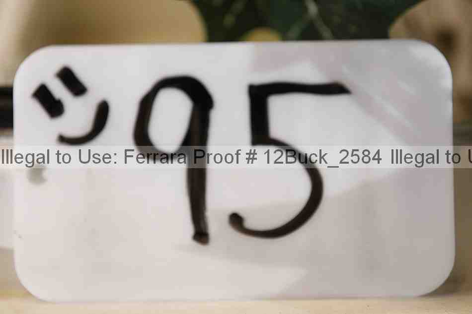 Proof 12buck_2584