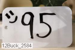 12buck_2584 proof