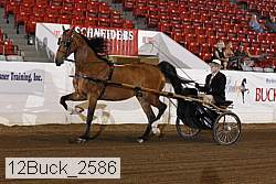 12buck_2586 proof