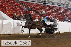 12buck_2587 proof