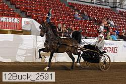 12buck_2591 proof