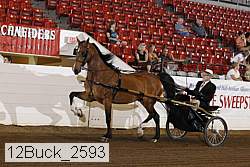 12buck_2593 proof