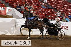 12buck_2600 proof