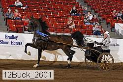 12buck_2601 proof
