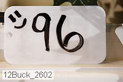 12buck_2602 proof
