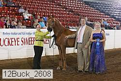 12buck_2608 proof