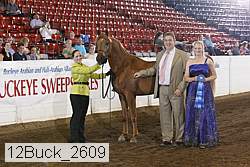 12buck_2609 proof