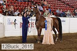 12buck_2615 proof