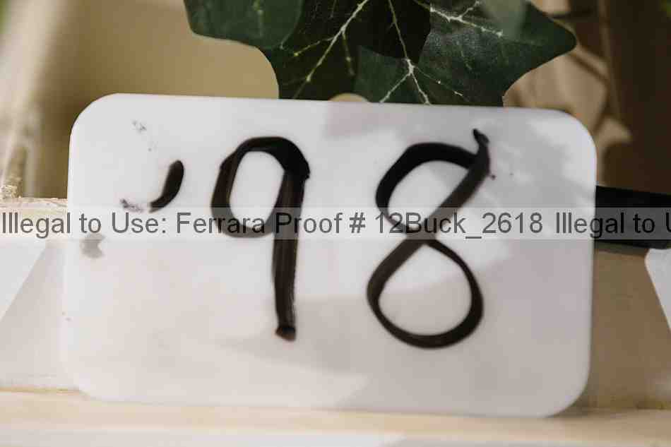 Proof 12buck_2618