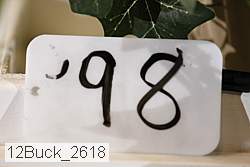 12buck_2618 proof